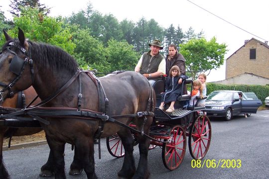 Balade en attelage avec un cheval de trait, 2003